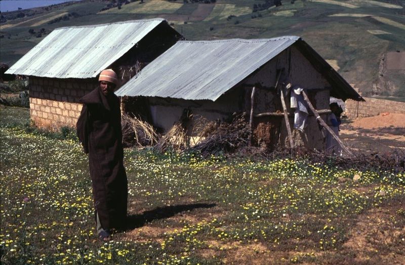 A simpler farm, closer to subsistence.
