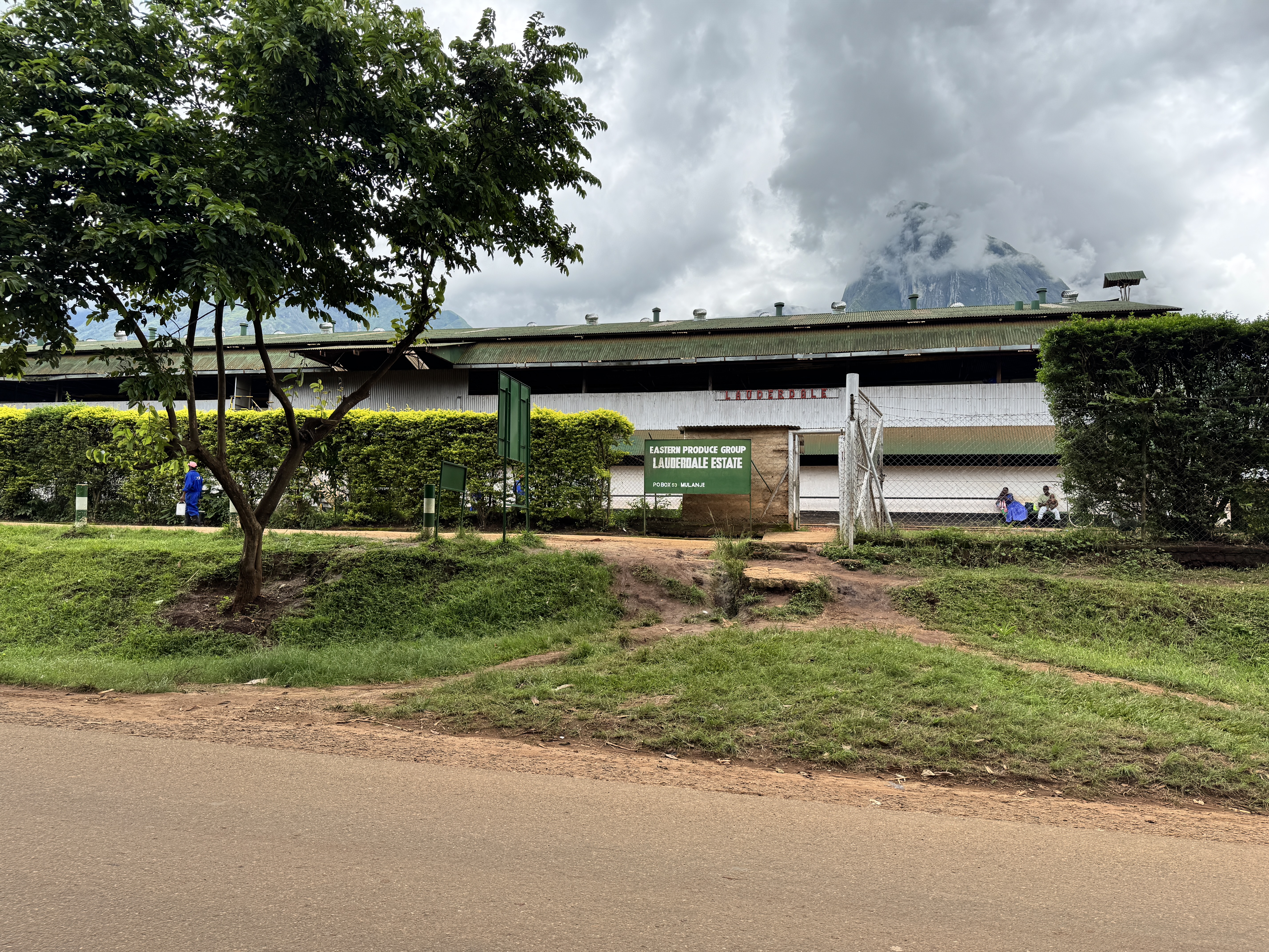 Malawi's tea industry began here.