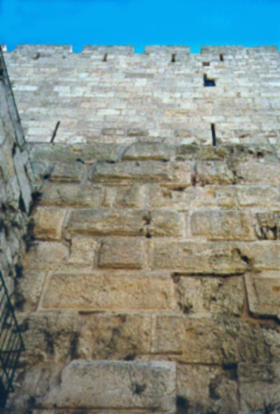 Looking up the same wall. The top half was added only yesterday—well, actually in the 14th century, but around here that's not old.