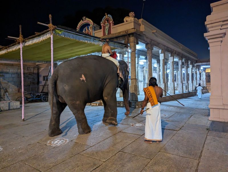 Even earlier, an elephant walks to the doorway of the central shrine, where he will briefly stand as part of Ranganatha's regalia.  Nobody h
