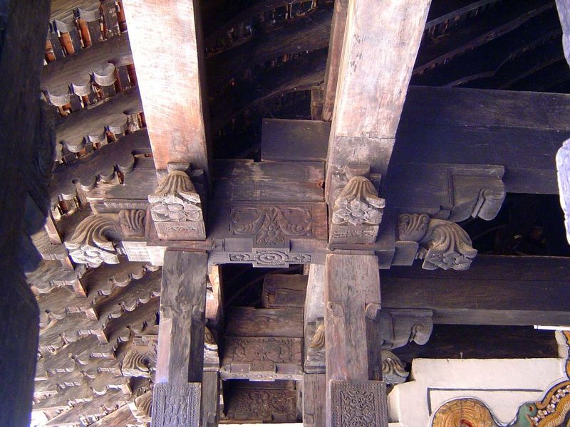 Drooping lotus capitals.