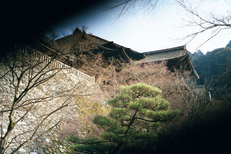 The main temple atop its perch.