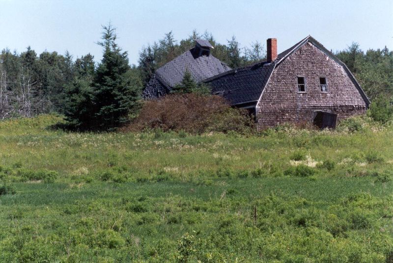 The peak for potatoes here was around World War II, and production has steadily declined from about 100,000 acres in 1980 to about 60,000 no