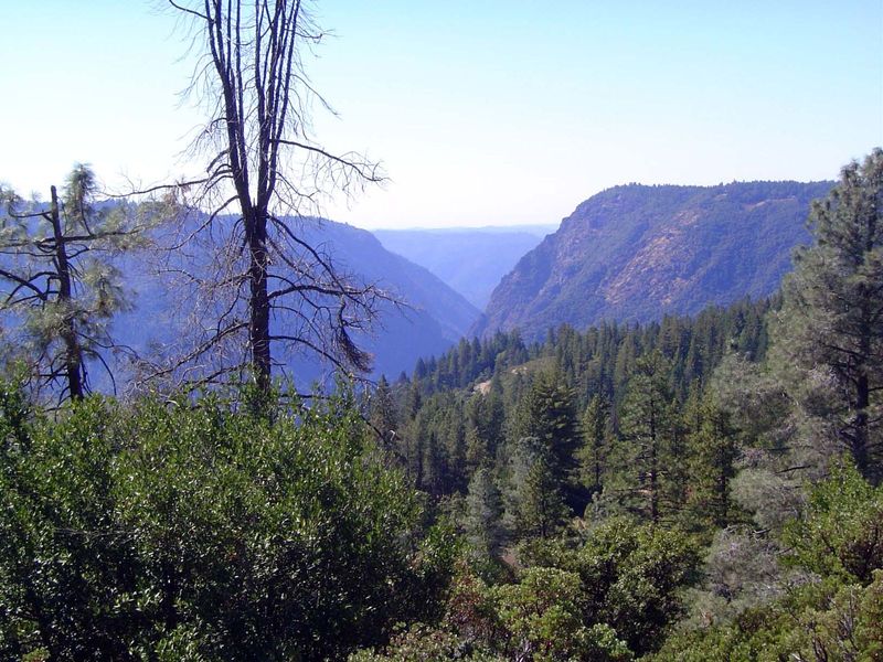 A few miles past Dutch Flat, the railroad hugs the north side of the American River Canyon, which here is about 2,000 feet deep.