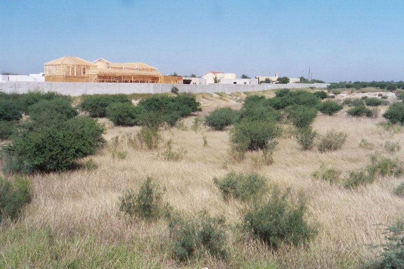 Laredo's apical meristem. Between 1990 and 2000, metro Laredo grew from 134,000 to 193,000 people—the fastest growth rate of any of Texas' l