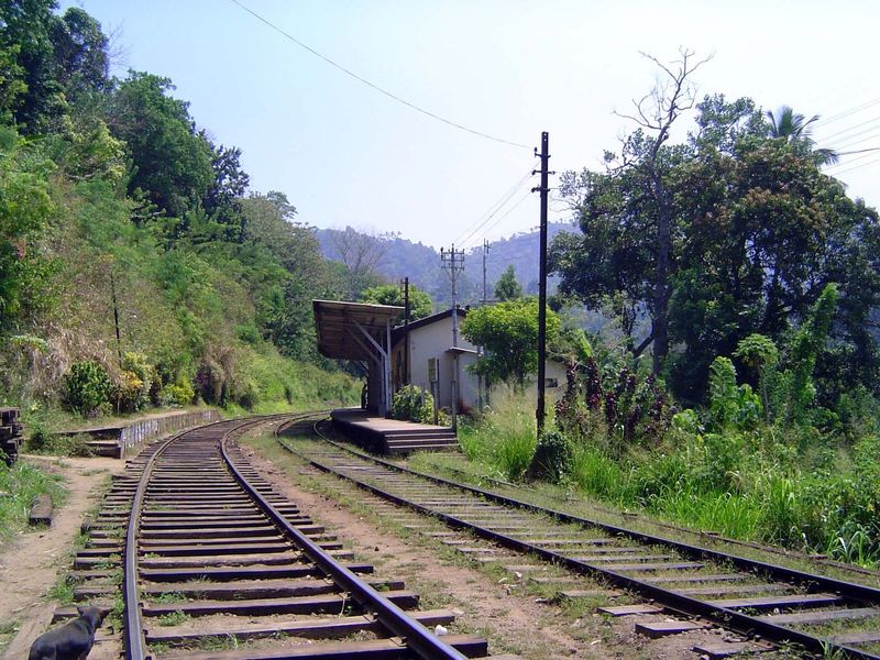 The railway groans uphill at Balana Station. There's a 1:45 grade here for 12 miles, as the track rises from 313 to 1698 feet.