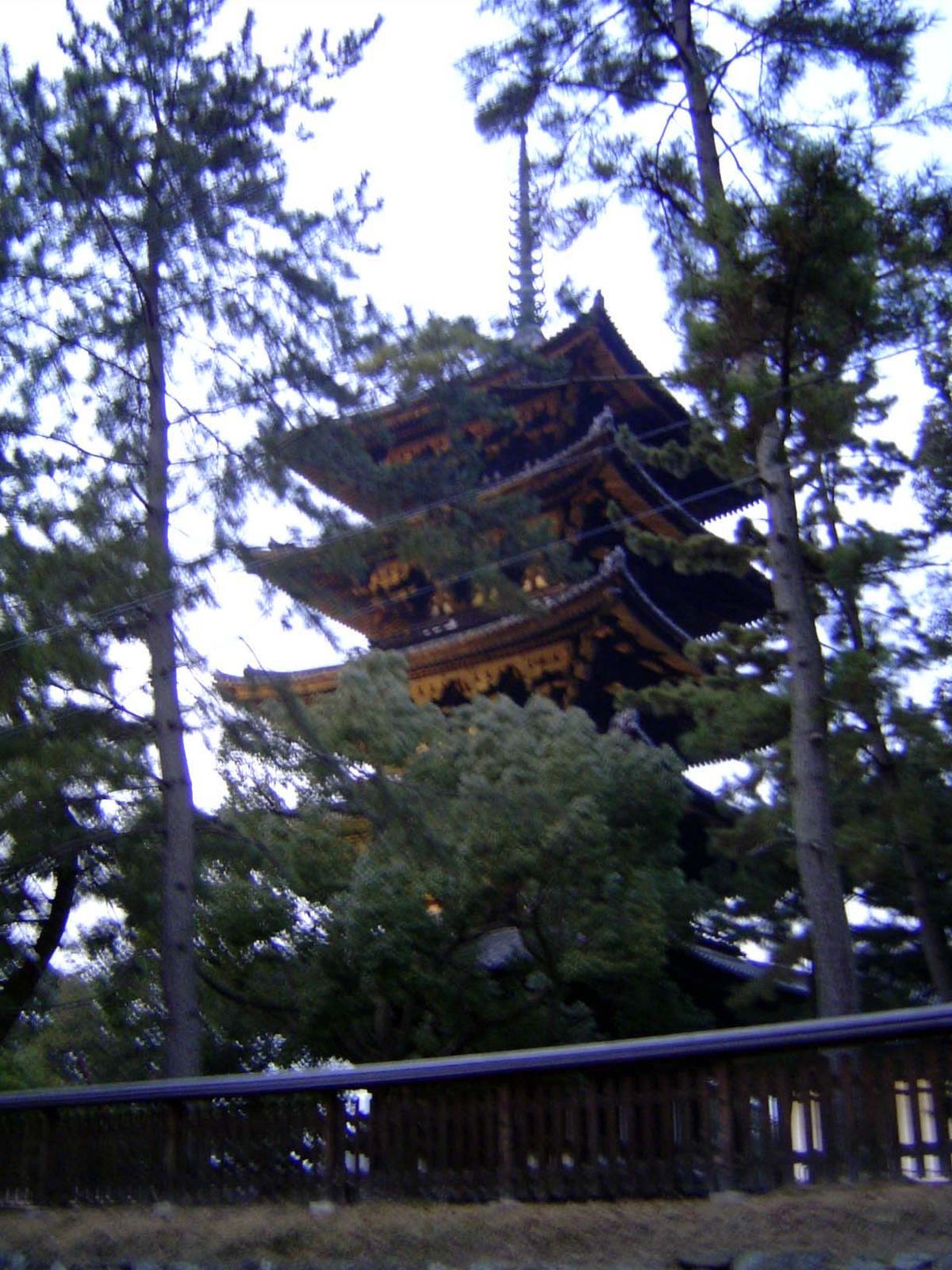 Another view of it.