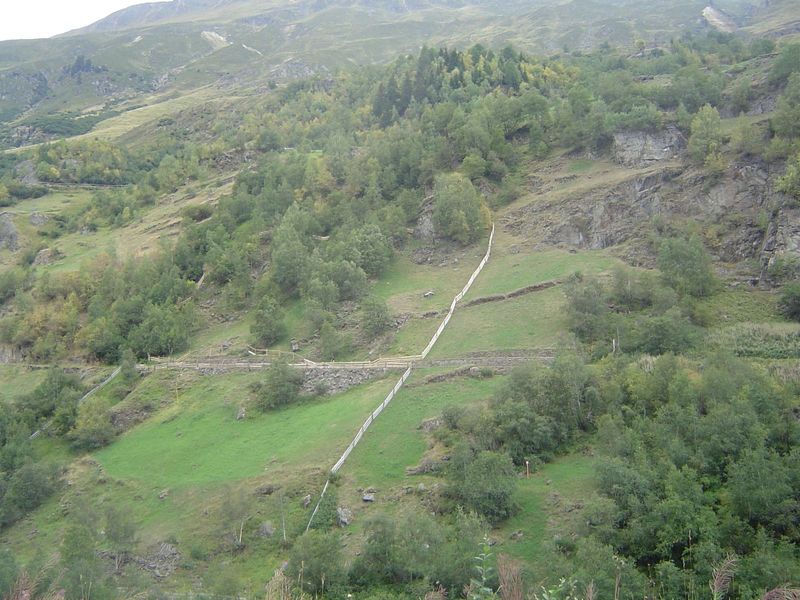 Uphill, the grazing gets rough fast, but fences survive for a while.