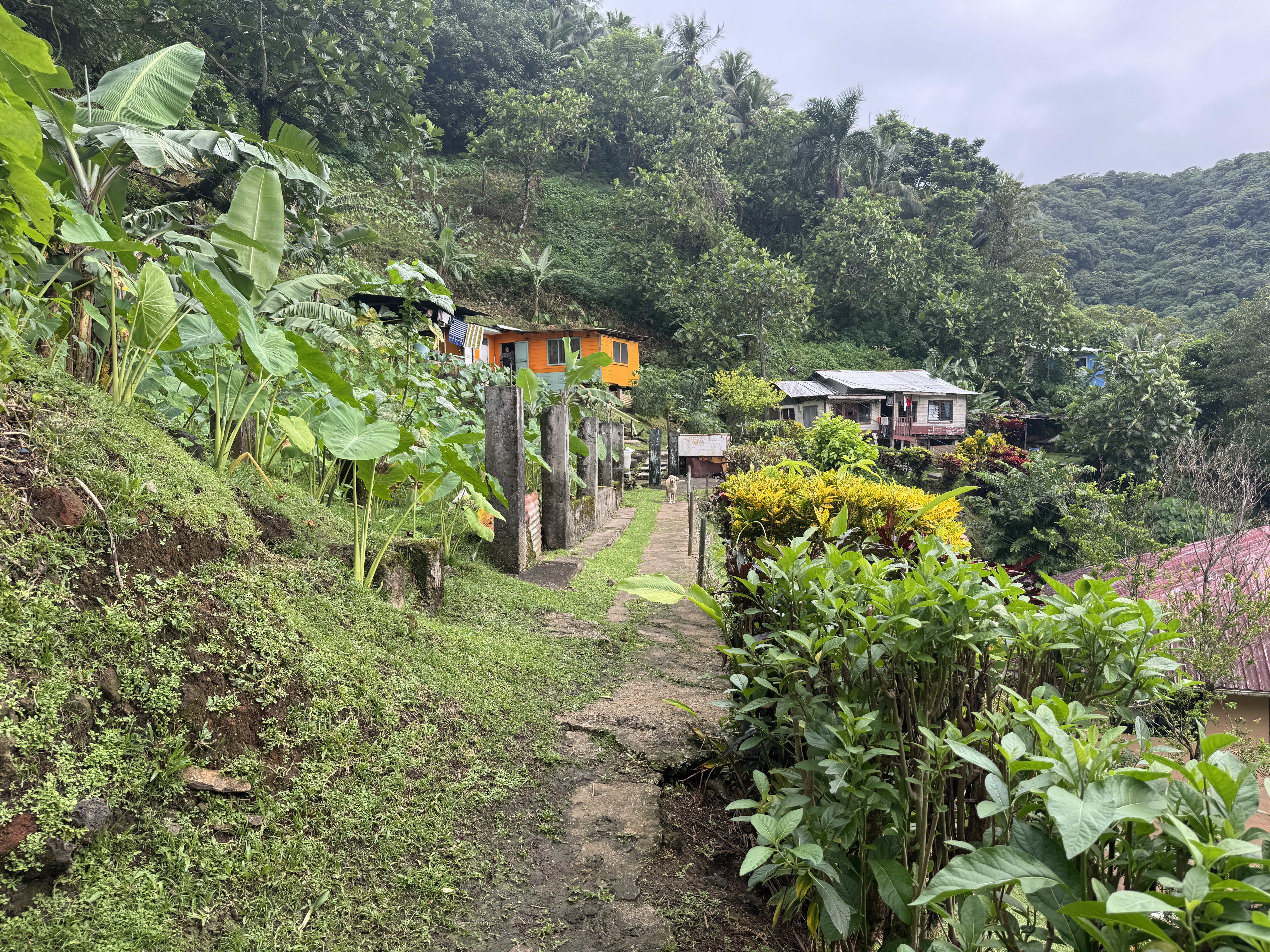 Until the development of the Tafuna Plain, civilians in Pago Pago had a hard time finding housing.