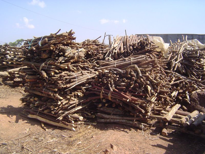 No split logs here.
