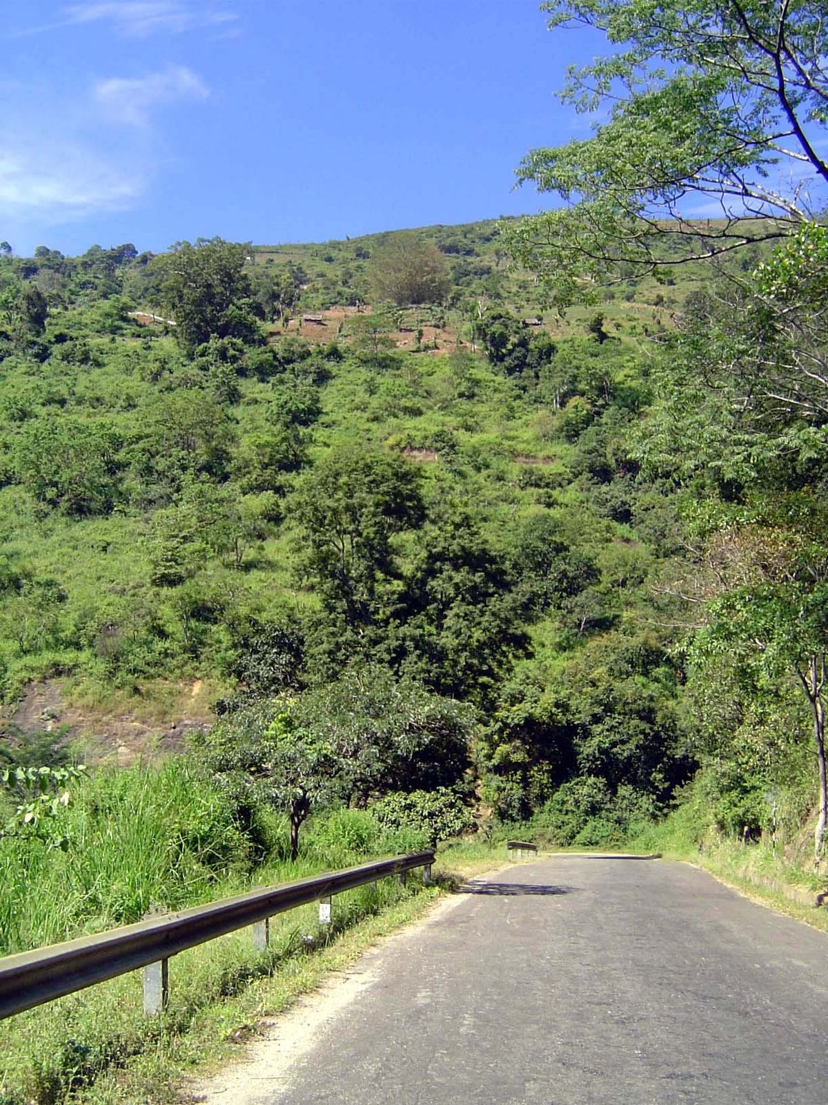 The road continues: it's new and strikingly deserted in comparison to the closely-settled roads west of Kandy.