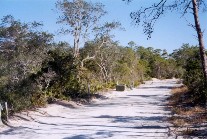 Just east of Seaside, the St. Joe Company has begun a sister settlement on 500 acres. St. Joe owns about a million acres in Florida—and some