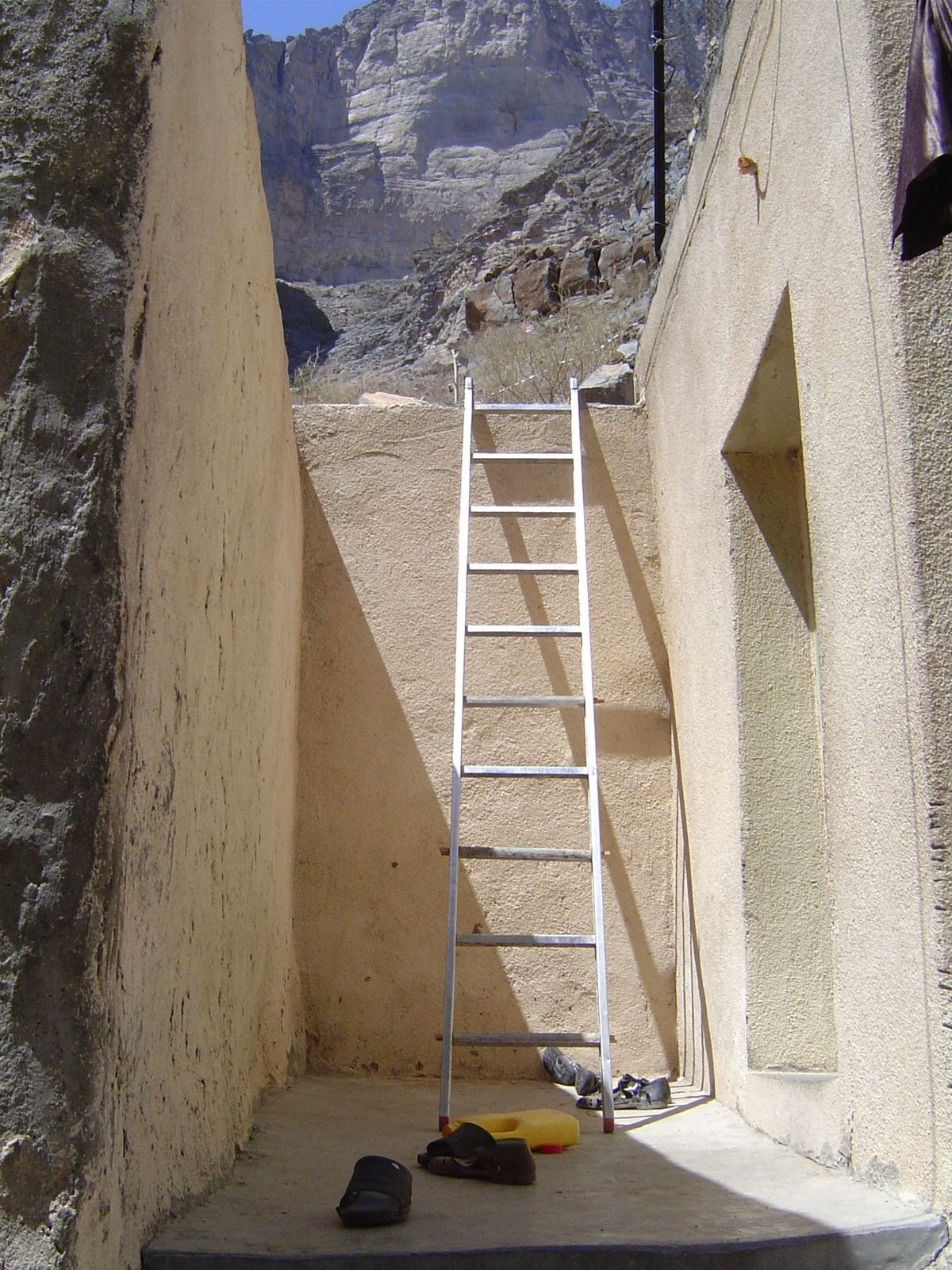 So much for ladders of palm.
