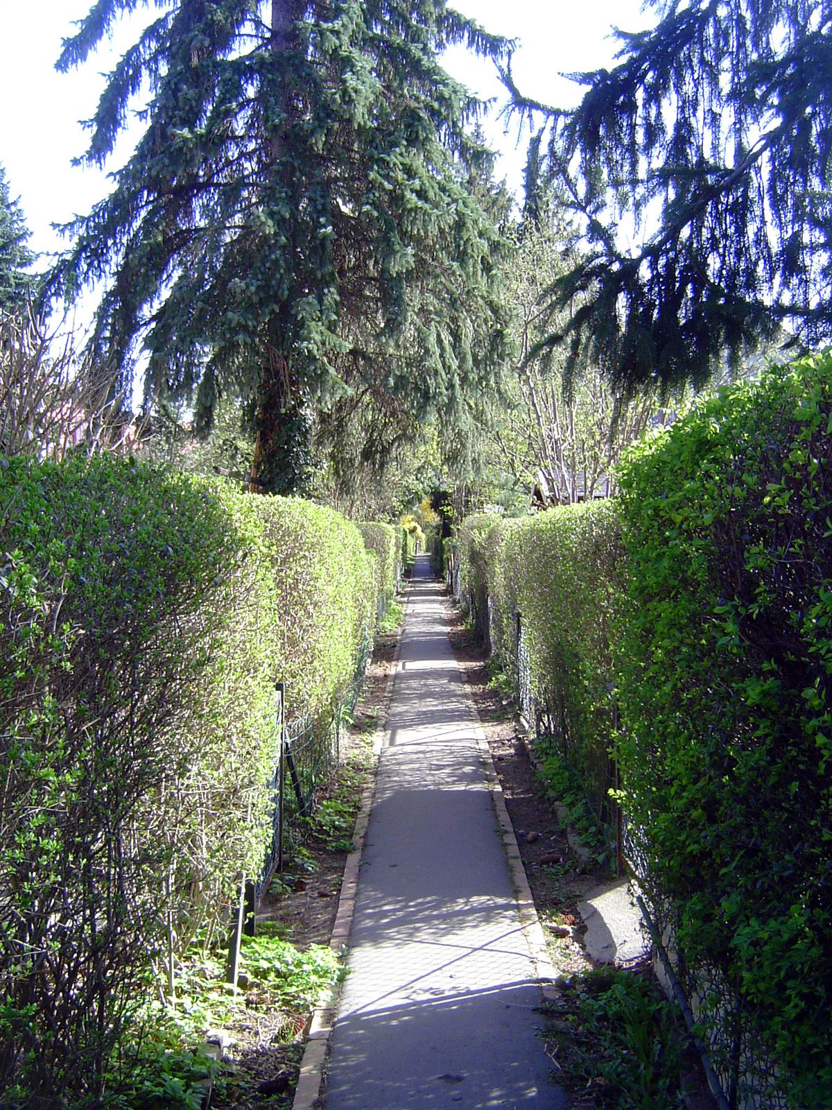 A sidewalk running between two ranks of backyards—and much like the much newer paths found in Seaside, Florida.