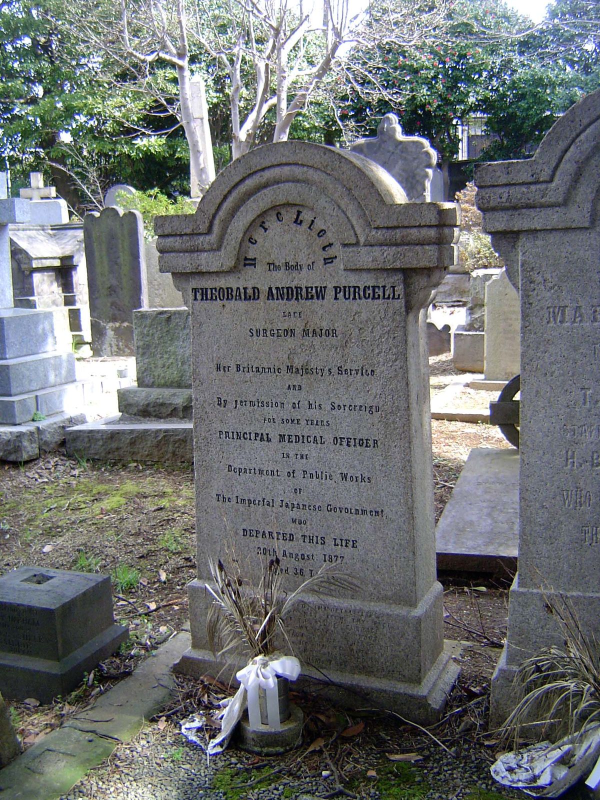 Here's a doctor deputed by Queen Victoria to serve the Japanese government. Under only his initials, T.A.P., Purcell also wrote Our Neighbor