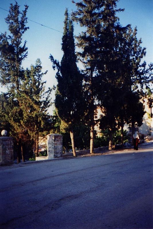 This is the entrance to the abandoned house of Hasan Mustafa, the leading figure of Battir during the critical decade of the 1950s, when the