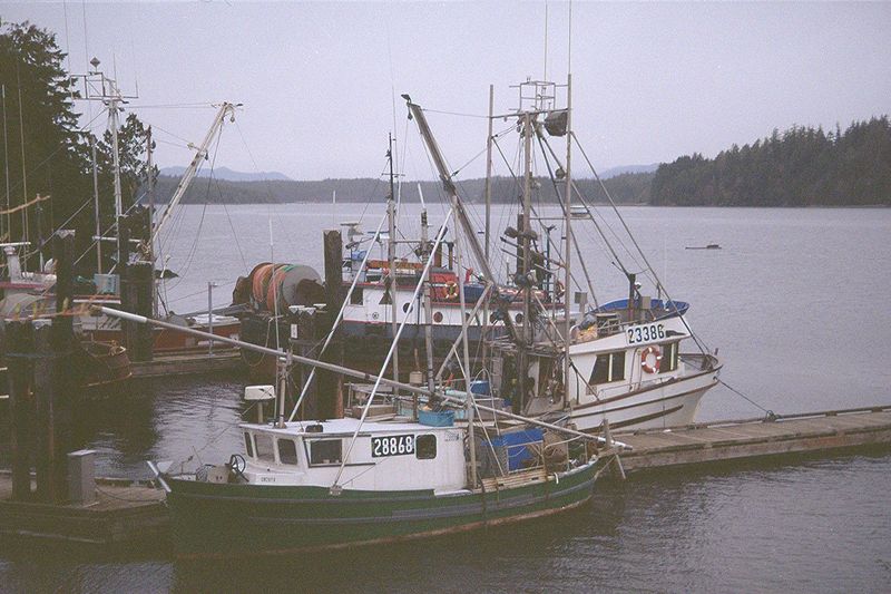 The Pacific Rim National Park occupies most of the peninsula but not the northern or southern tips. The southern tip is occupied by the fish