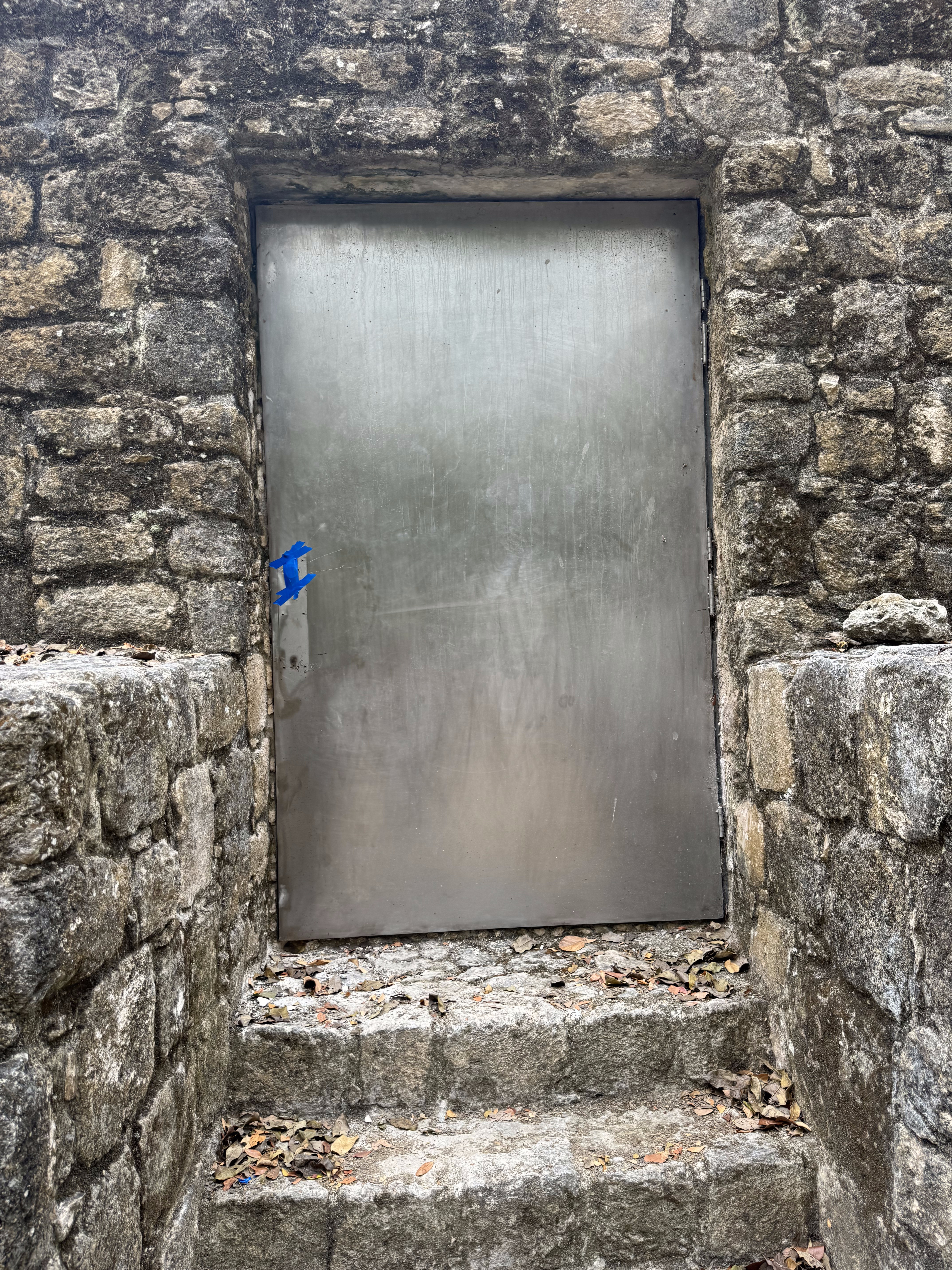 It's behind this door.

Calakmul was added to UNESCO's World Heritage List in 2002, and three years later a painted mural was found by archa