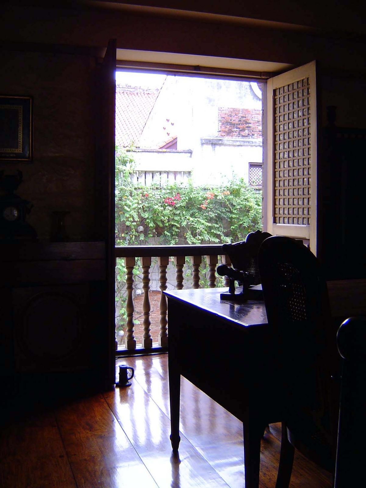 View from the mercifully shady study. The magnificent hardwood floor is, like the rest of the building, entirely new.