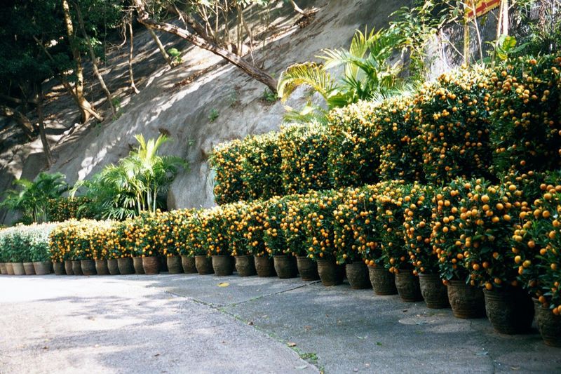 A driveway at the same place.