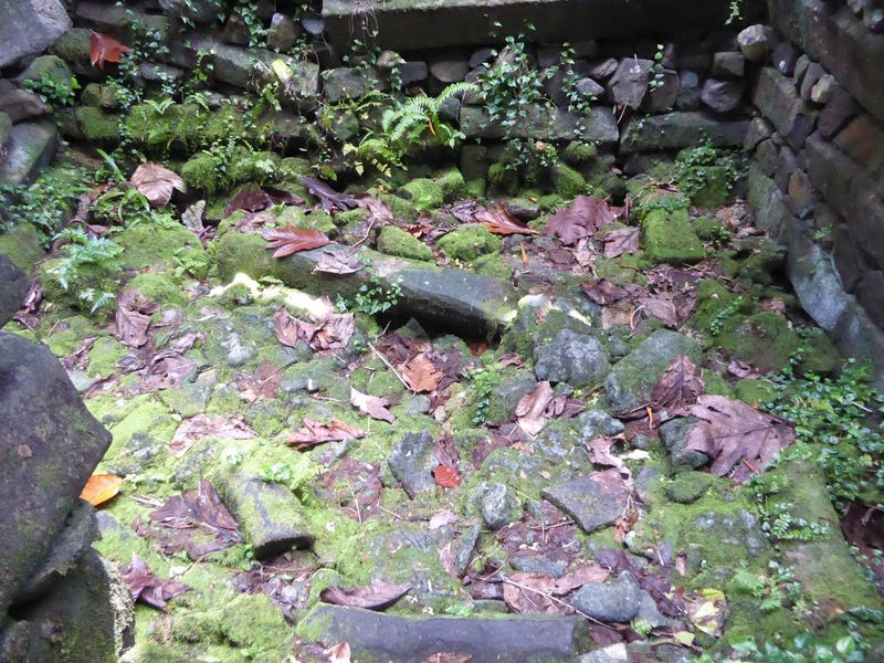 Here's the floor of the tomb. Need another dose of atmosphere? Here's Price in 1936 p. 239: "Descending a moldy stone stairway beneath one o