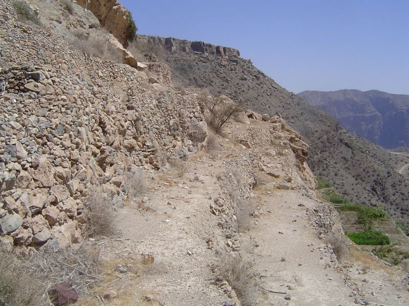 Abandoned terraces up close.