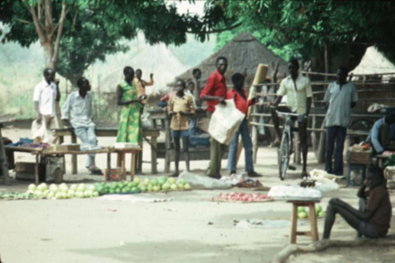 A local market. Grapefruits are a Sudanese specialty, especially if customers tolerate a great many seeds in exchange for intense sweetness.