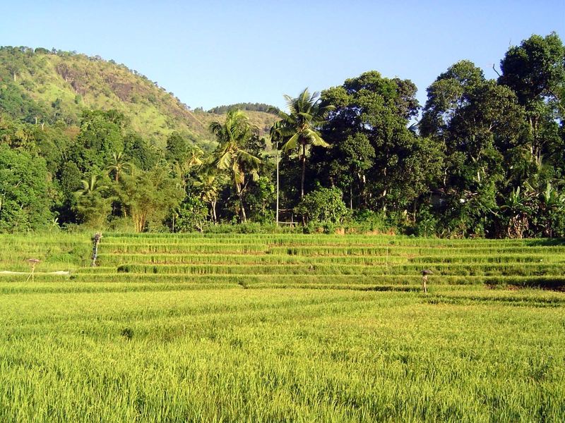We've come upstream from Gampola, where again there's a lot of cultivable land.