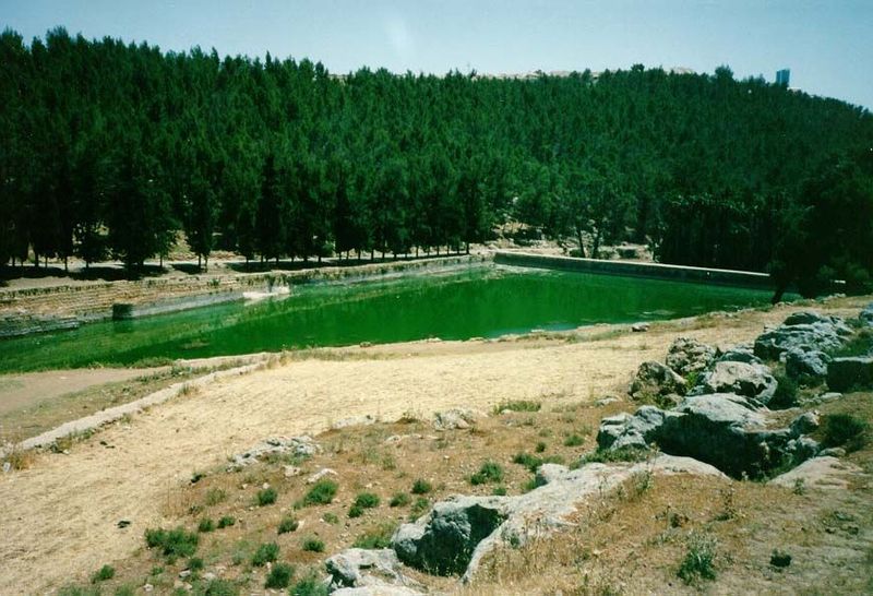 And here is the uppermost of Solomon's three pools, with the feeding channel in the foreground. Water once flowed through channels like this