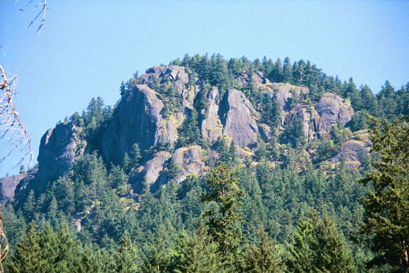 During the summer of 2000, many residents were up in arms about the plans of Vancouver developers to log a huge block of land abutting Mt. M