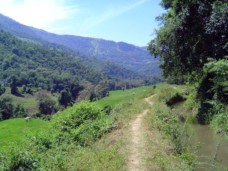 Looking upstream toward the canal's diversion wier.