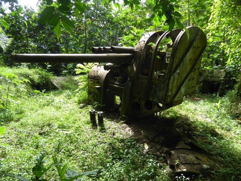 There are Japanese guns here and there, too. This one is atop Sokehs Island.