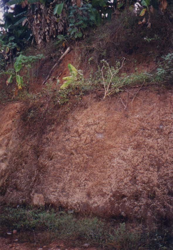 Roadcuts reveal hard laterite.
