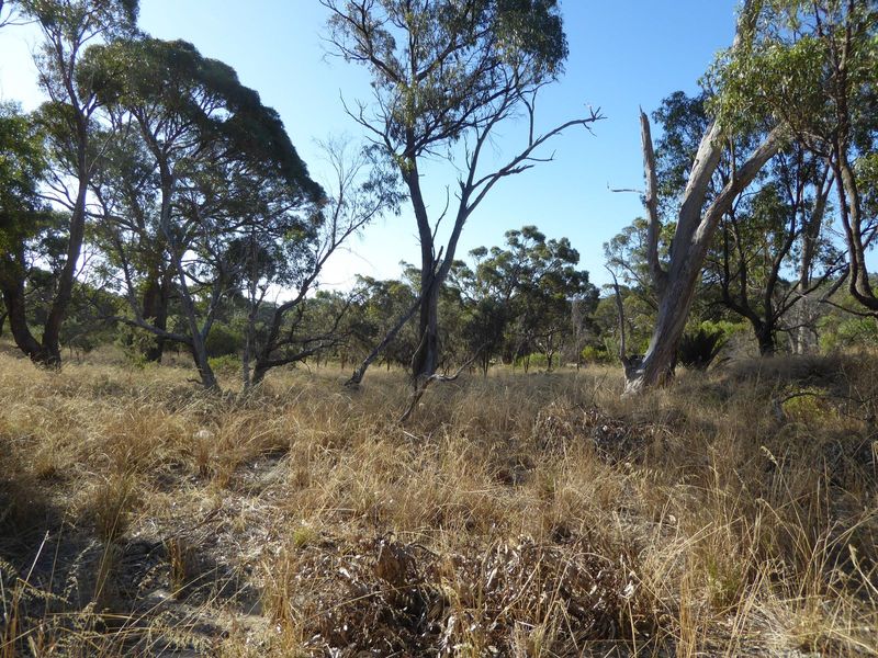 Inland, there are patches of more or less natural vegetation.
