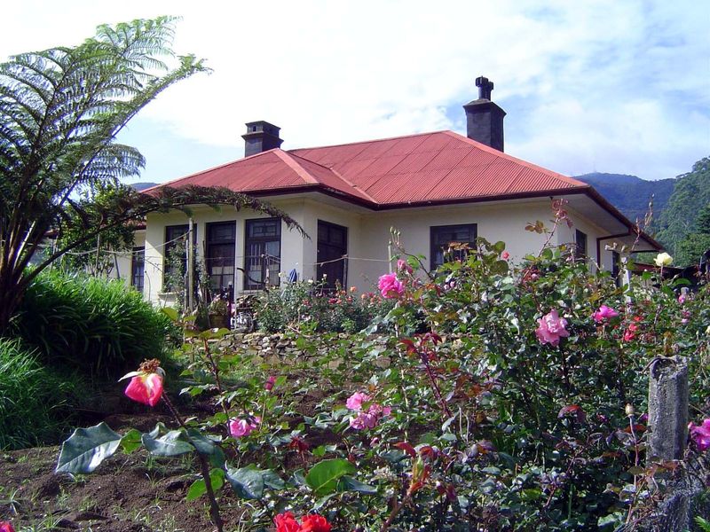 Flowers are abundant.
