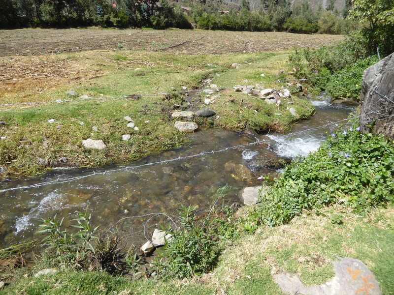 Irrigation can't get simpler than this.