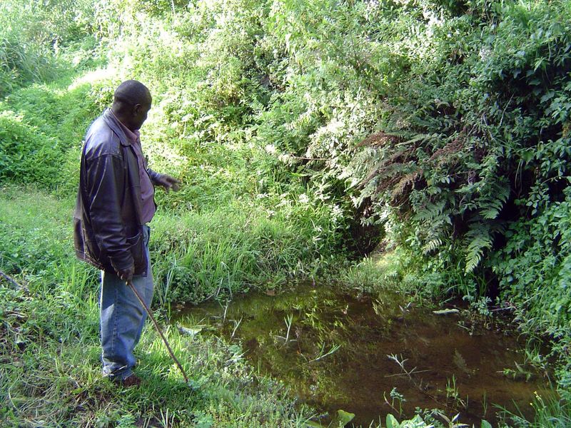 A pool in the creek.