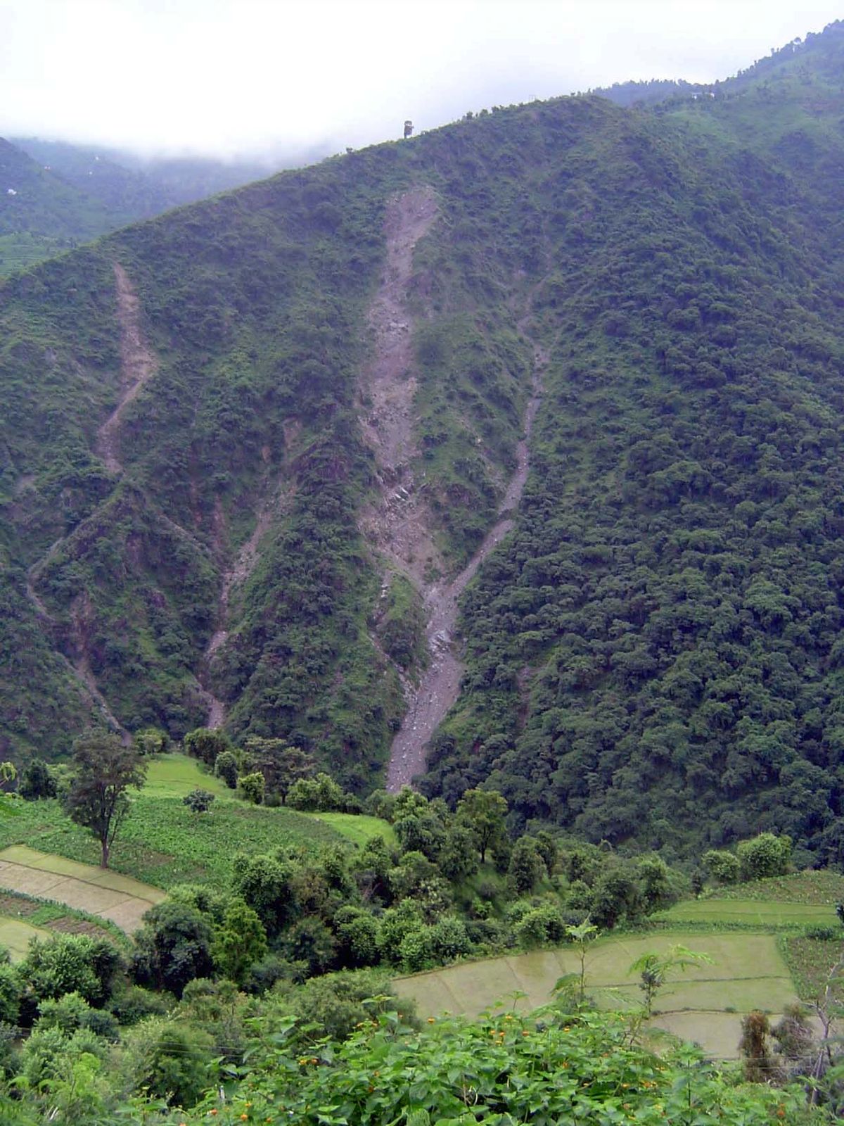 Cultivation continues wherever possible, with wicked erosion on slopes presumably once forested.