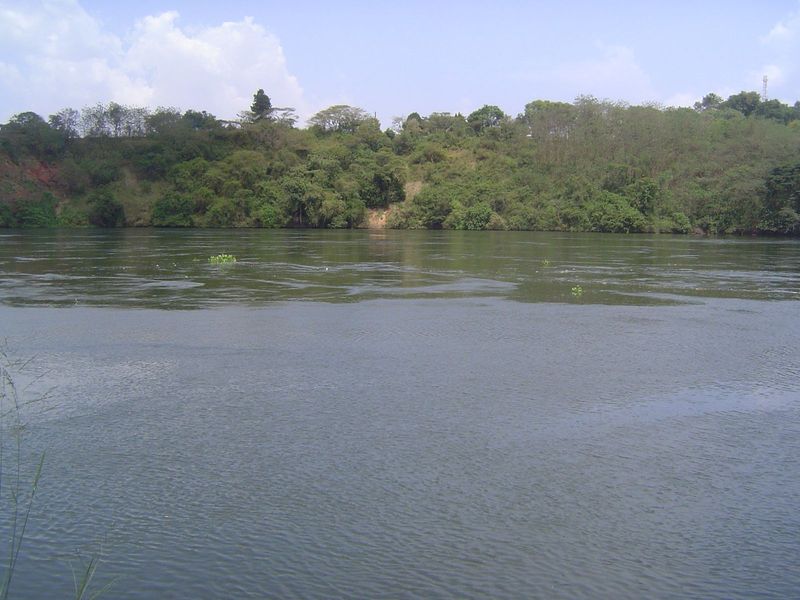 Despite the dam, the river still appears powerful, with an appreciable current.