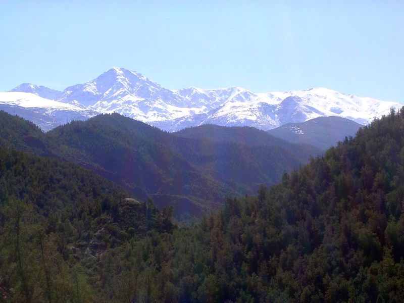 Higher in the mountains.