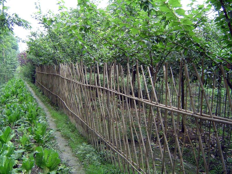 A path crosses the ditch and wanders through neatly cultivated fields.