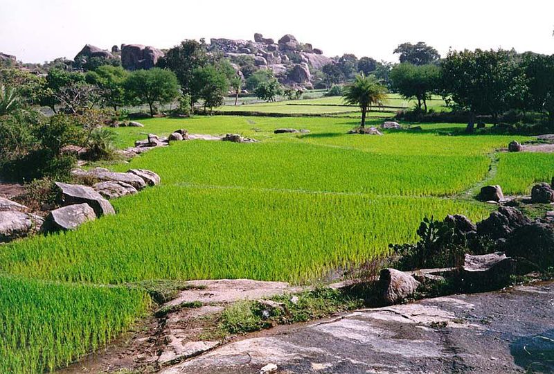 Twenty-odd years later, bright daylight illuminates the granite outcrops so typical of Telangana, the region around Hyderabad. A combination