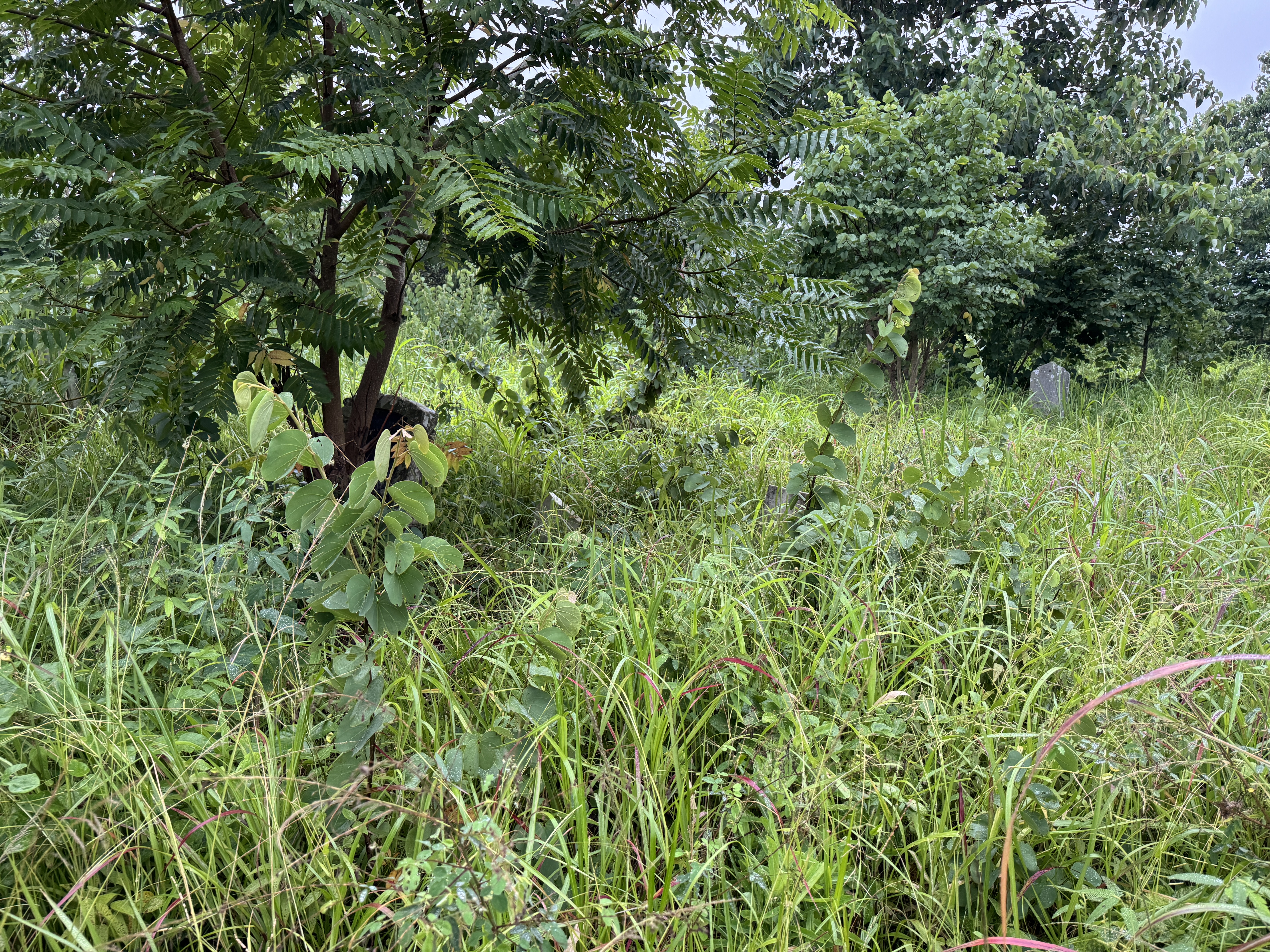The church has a pioneer cemetery that would be fun to explore if you come equipped for puff adders, black mambas, etc.  I wasn't.  I think 