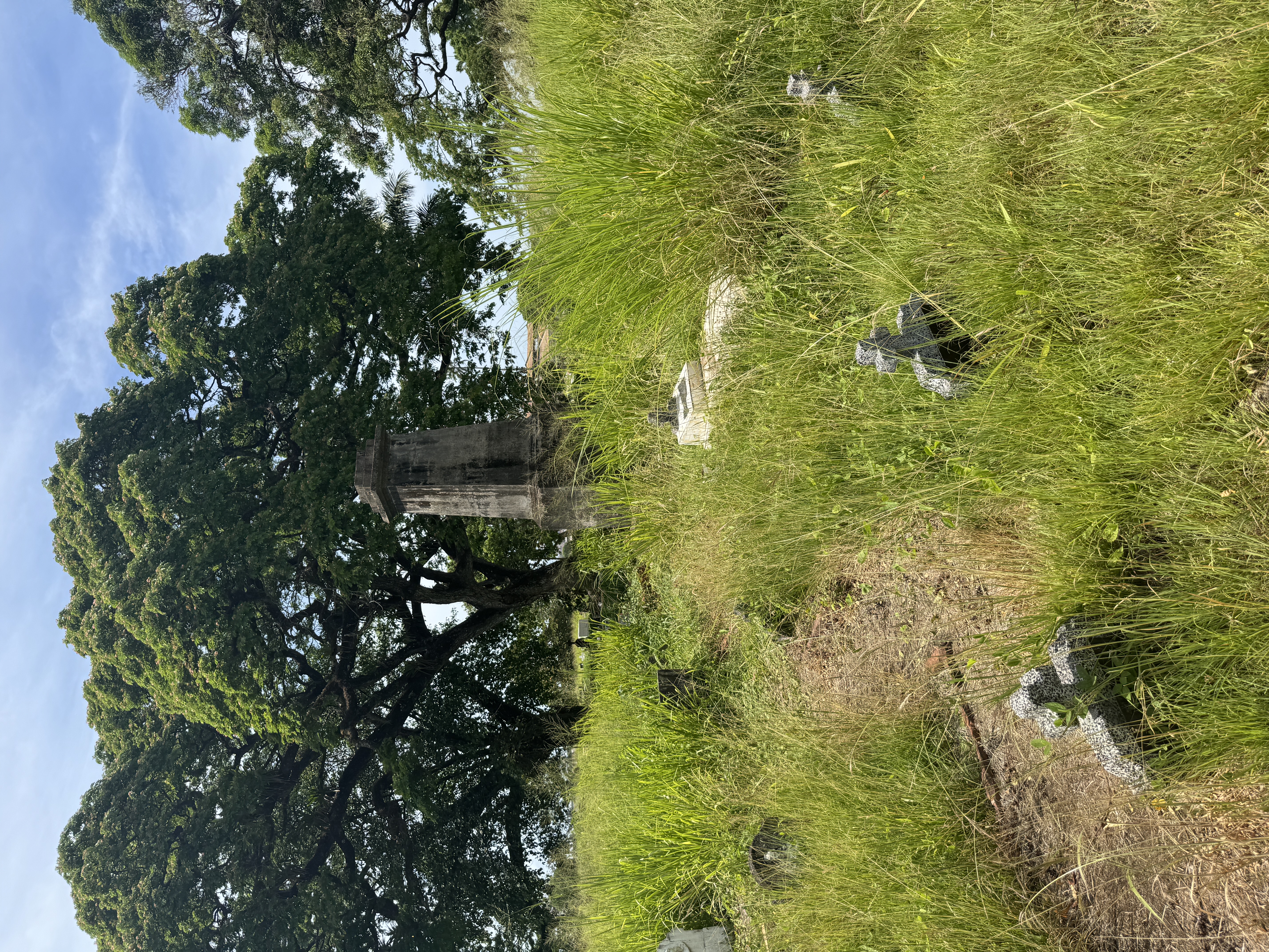 The roads are good, but the paths are rough and the graves are overgrown.  The monument in the background has no inscription, or none surviv
