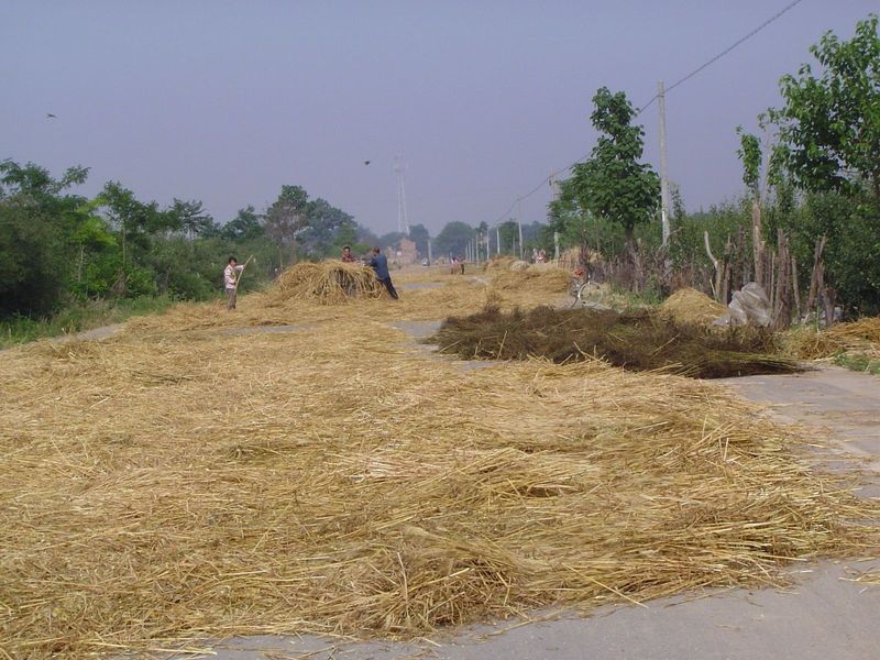 In a few hours, however, the farmers can separate the chaff from the grain.