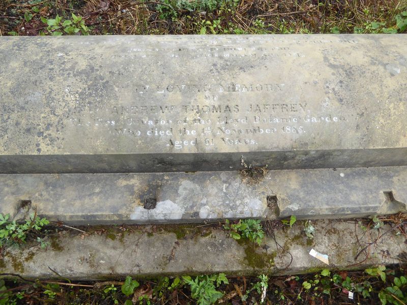 Andrew Thomas Jaffrey, "the first curator of the Lloyd Botanic Garden, who died the first of November 1865. Aged 61 years."