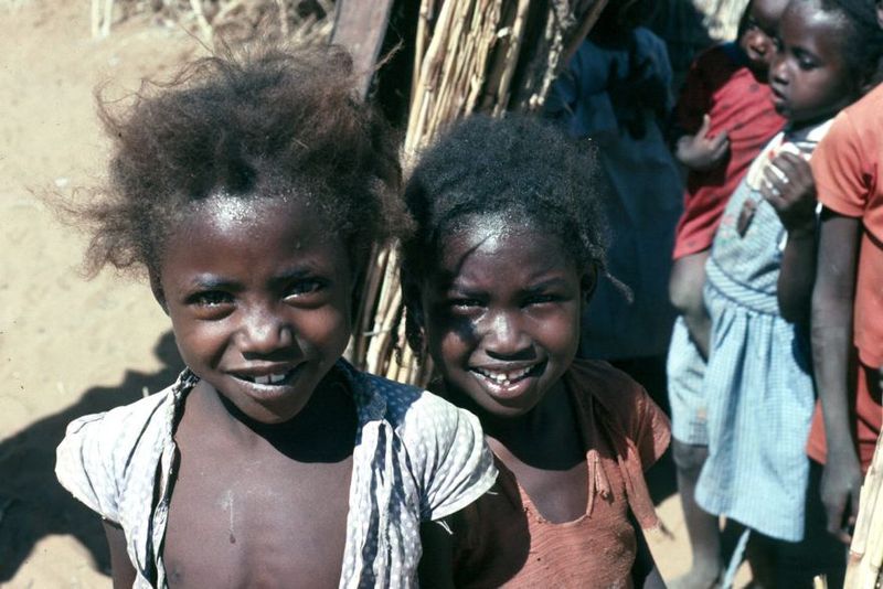 What should the school curriculum be? In the British period there was a teacher-trainer in the Sudan who ripped up greenery planted on his s