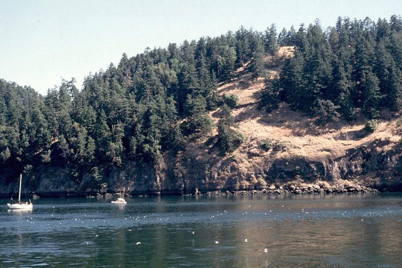 Logging in the Pacific Northwest began on sites close to navigable waterways, which is why maps from 1900 show a distinctive pattern of logg