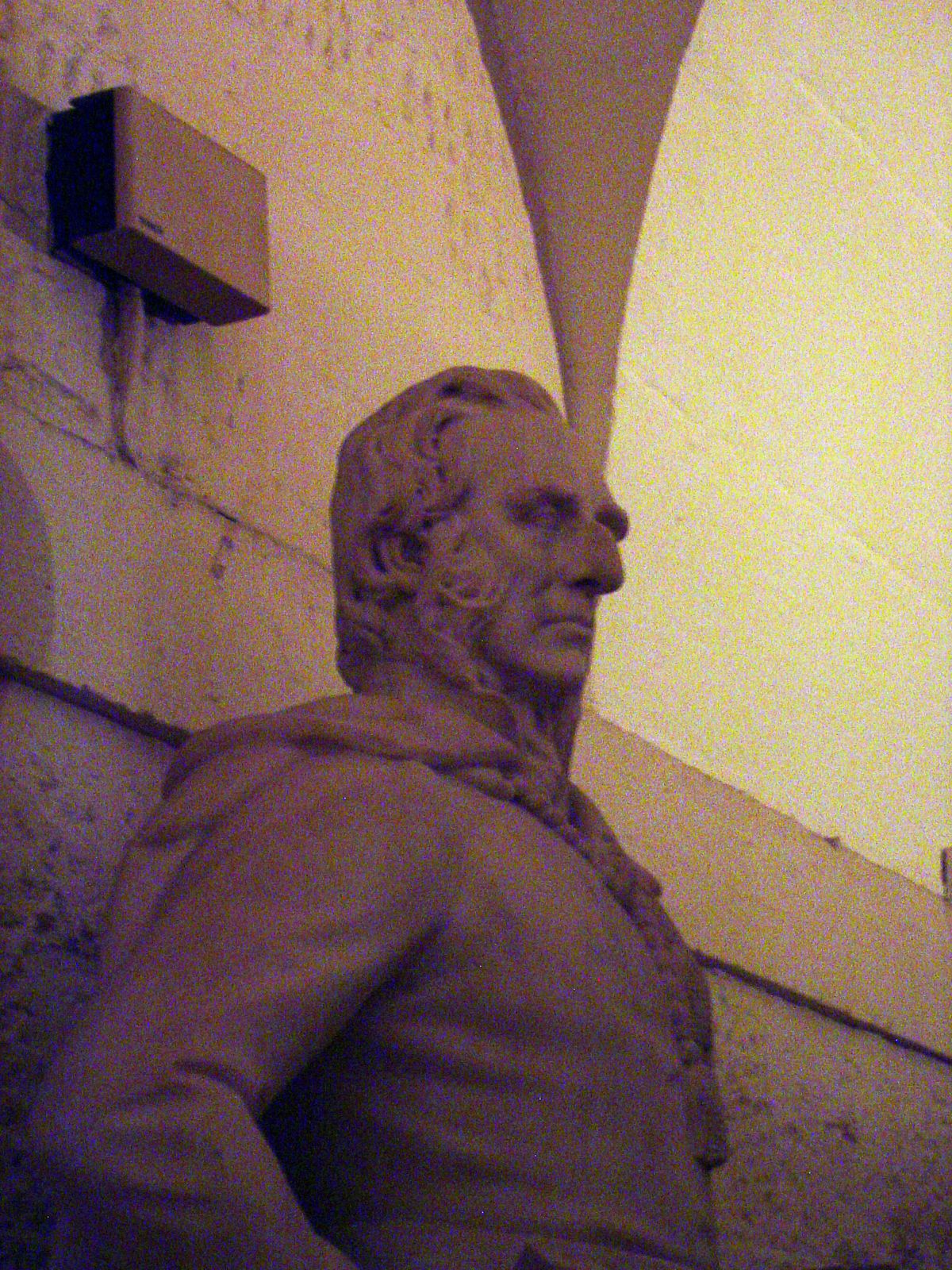 General Robert Napier at St. Paul's.
