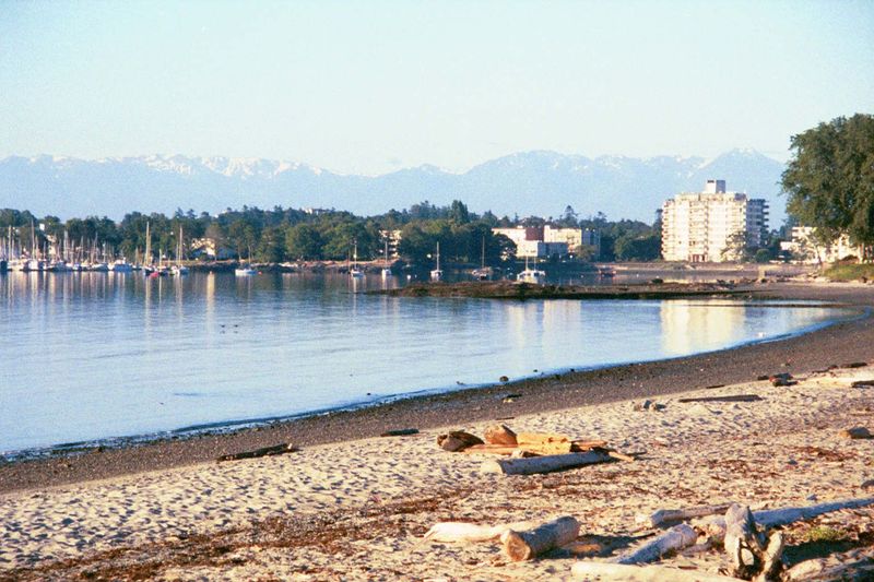 More common are apartments, even a few high-rise ones, like the one here. In the foreground, Willows Beach, crowded on summer days but other